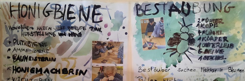 Großes selbst gestaltetes Lernplakat zur Honigbiene und Bestäubung mit Pflanzenfarben gemalt — daneben Fotos von Kindern beim gemeinsamen Beobachten und Forschen